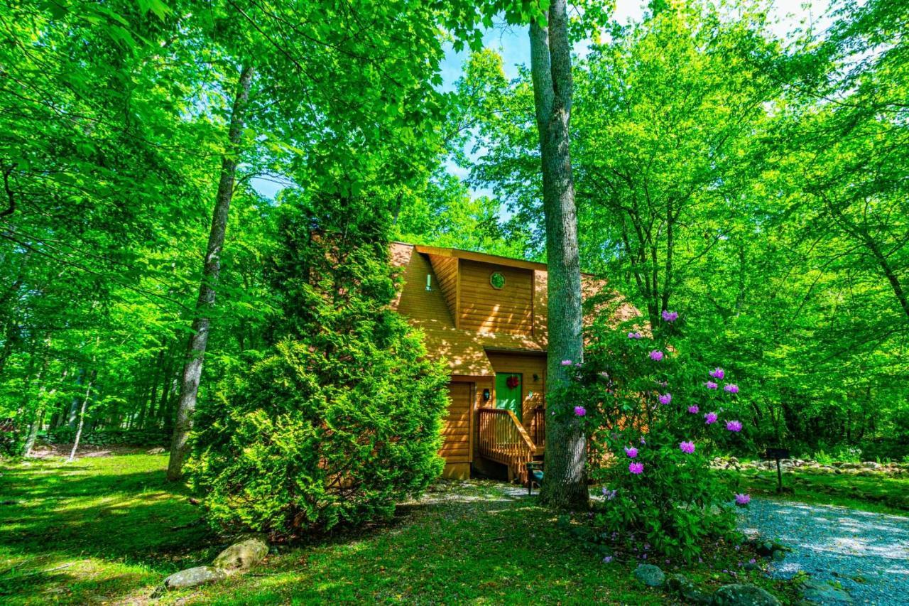 Villa Bear Footin' On The Creek Gatlinburg Exterior foto